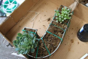 Metal Succulent How To from Home Talk